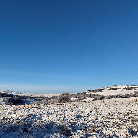 West Gorton Grantown-on-Spey Exterior foto